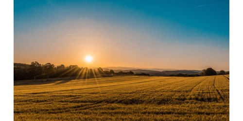 Sonnenaufgang
