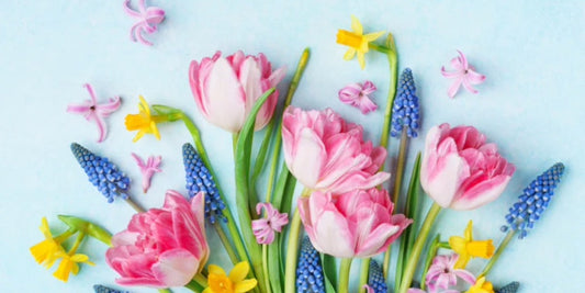 Frühlingsblumen 2024