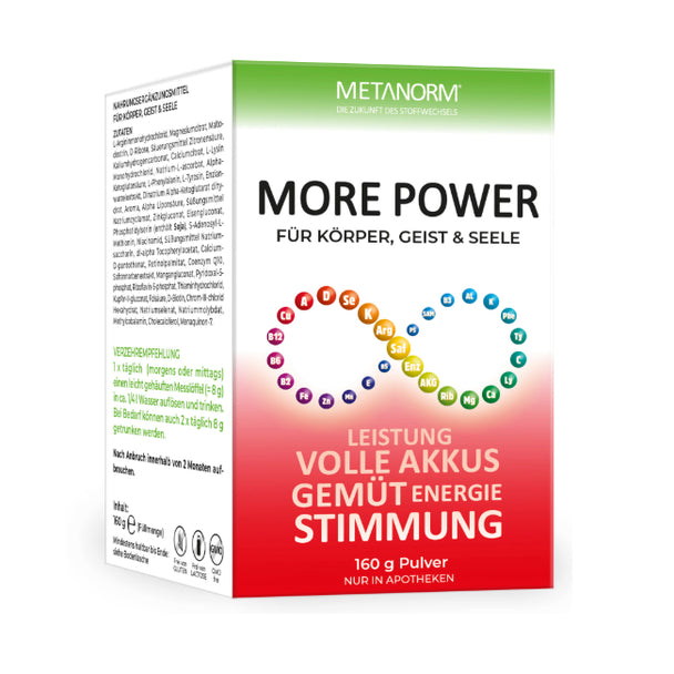 MORE POWER Pulver METANORM®, 160g