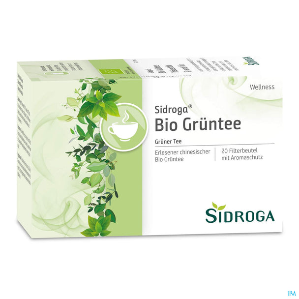 Sidroga Bio Grüntee, 20 Stück